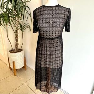 Zara Sheer Black Dress